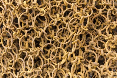 Chain Links-cropped